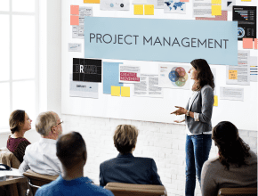 Project Management Professional